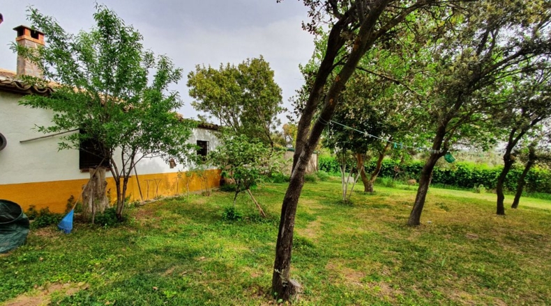 Jaén - Guarromán - 5150m2