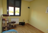 Chalet independiente con terreno en venta en Loeches ref: TR382476 foto