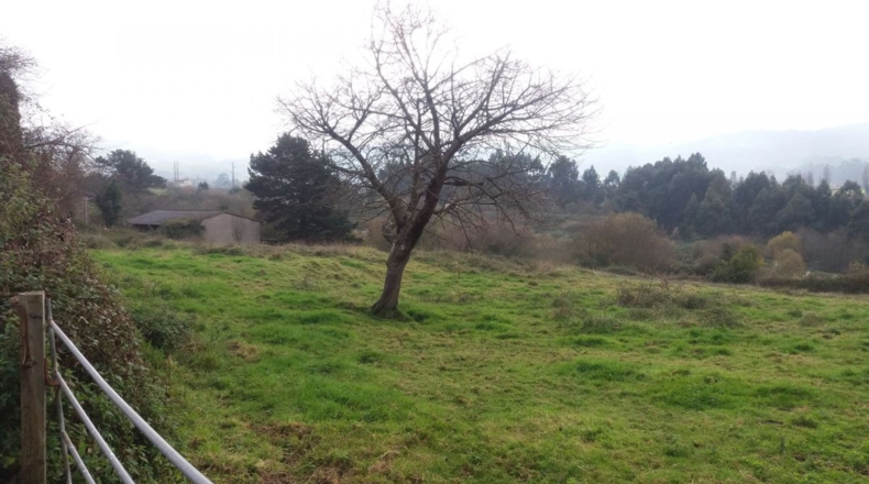 Asturias - Santa Ana - 10000m2