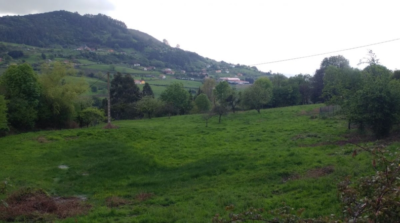Asturias - Tarna - 10364m2