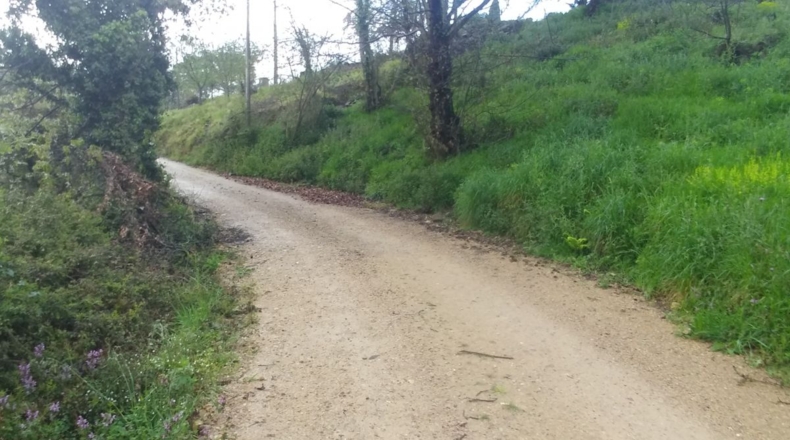 Asturias - Tarna - 10364m2