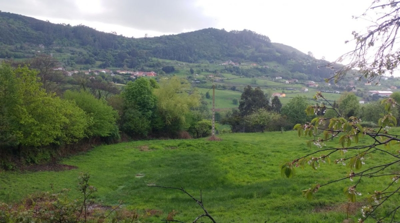 Asturias - Tarna - 10364m2
