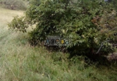 Non-developable land for sale in Gijón ref: TR54614 photo