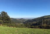 Non-developable land for sale in Pola de Siero ref: TR54607 photo
