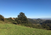 Non-developable land for sale in Pola de Siero ref: TR54607 photo