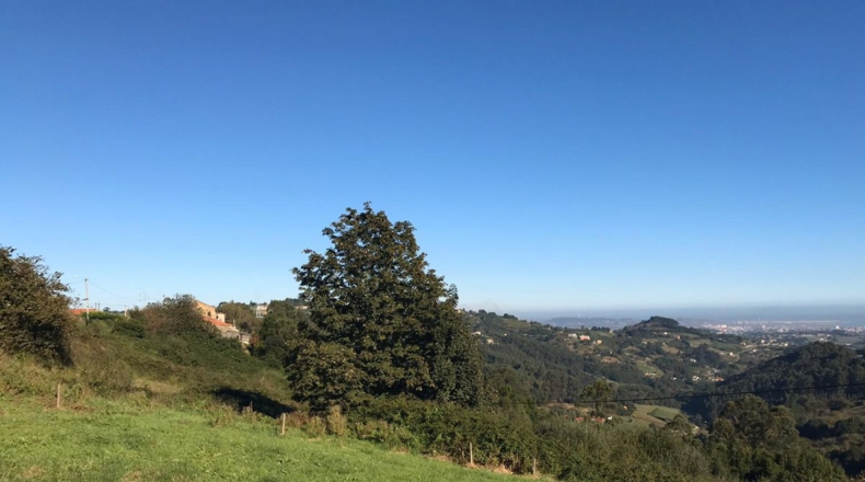 Asturias - Pola de Siero - 1265m2