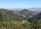 Non-developable land for sale in Pola de Siero ref: TR54607 photo
