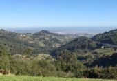 Non-developable land for sale in Pola de Siero ref: TR54607 photo