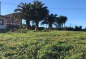 Non-developable land for sale in Pola de Siero ref: TR54607 photo