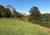 Non-developable land for sale in Pola de Siero ref: TR54607 photo
