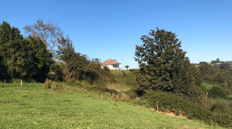 Asturias - Pola de Siero - 1265m2