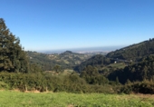 Non-developable land for sale in Pola de Siero ref: TR54607 photo
