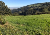 Non-developable land for sale in Pola de Siero ref: TR54607 photo