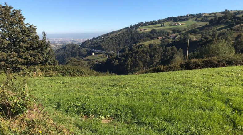 Asturias - Pola de Siero - 1265m2