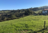 Non-developable land for sale in Pola de Siero ref: TR54607 photo