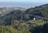 Non-developable land for sale in Pola de Siero ref: TR54607 photo