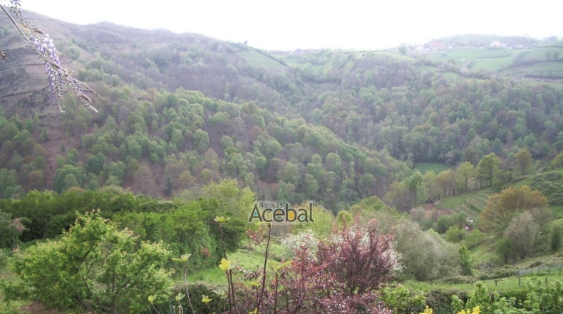 Asturias - Castañal - 1076m2