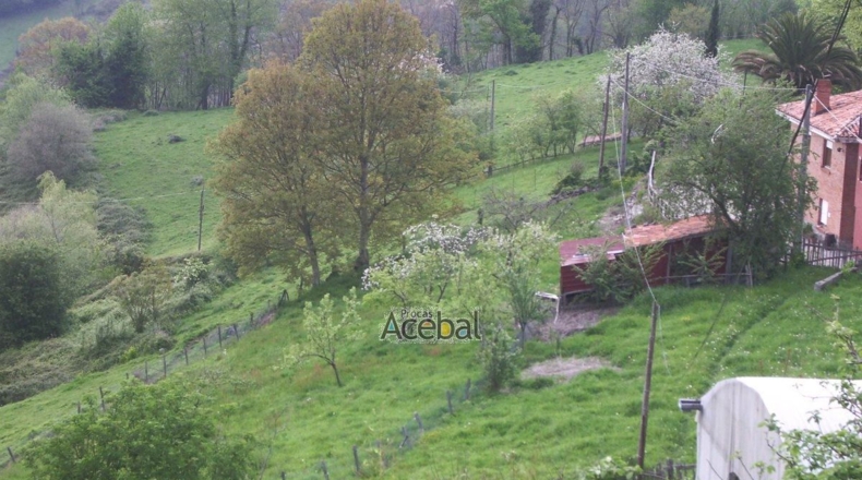 Asturias - Castañal - 1076m2
