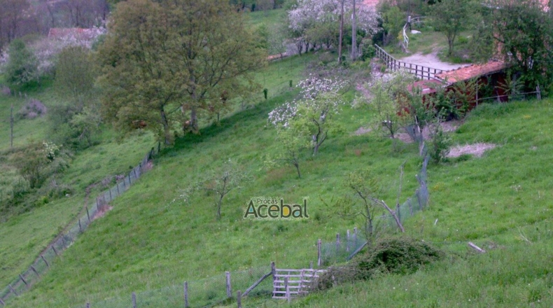 Asturias - Castañal - 1076m2