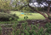 Land suitable for development for sale in Gijón ref: TR103958 photo