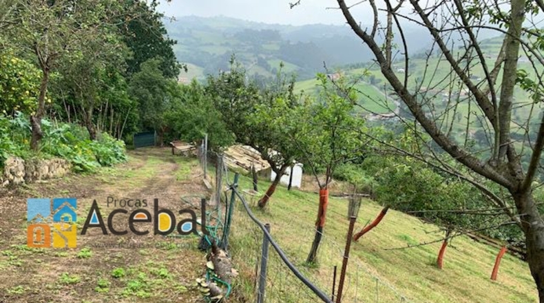 Asturias - Pola de Siero - 4155m2