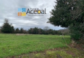 Land suitable for development for sale in San Martín del Mar ref: TR109416 photo