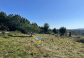 Land suitable for development for sale in Gijón ref: TR183644 photo
