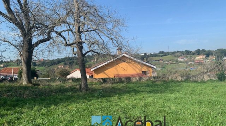 Asturias - Gijón - 1500m2