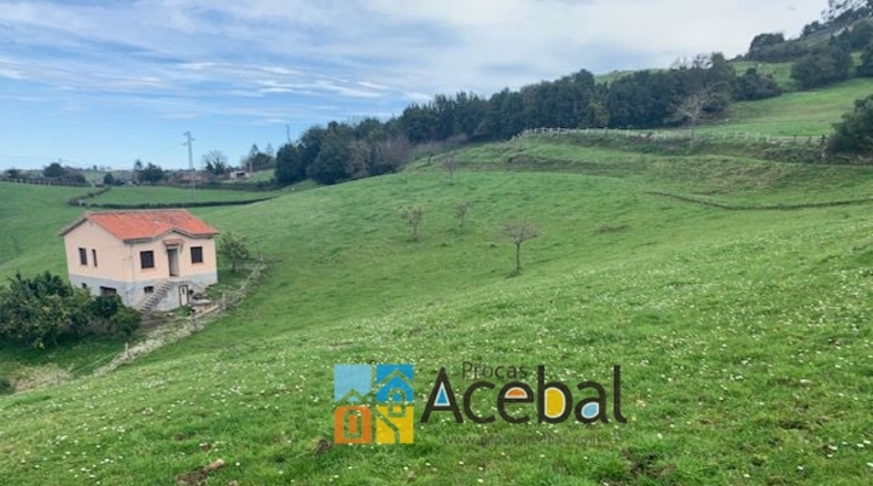 Asturias - Gijón - 1700m2