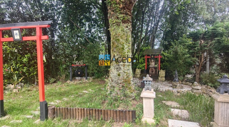 Asturias - Gijón - 2200m2