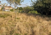 Terreny no urbanitzable en venda a Villaviciosa ref.: TR322123 foto