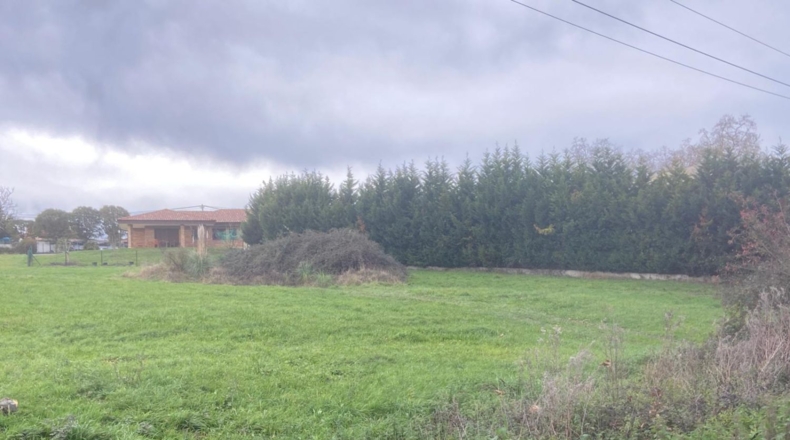 Asturias - Gijón - 2000m2