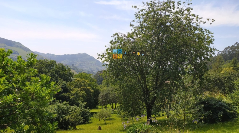 Asturias - Gijón - 2000m2