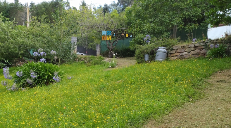 Asturias - Gijón - 2000m2