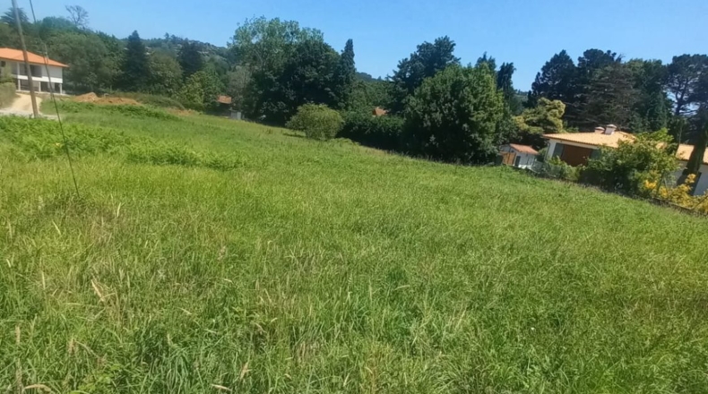 Asturias - Gijón - 1500m2