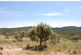 La Granadella 340&nbsp;m²