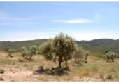 Terreno no urbanizable en venta en la España, La Granadella, ref: TR93924 foto