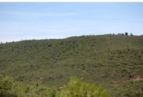 La Granadella 340&nbsp;m²