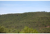 Terreno no urbanizable en venta en la España, La Granadella, ref: TR93924 foto