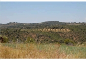 Terreno no urbanizable en venta en la España, La Granadella, ref: TR93924 foto