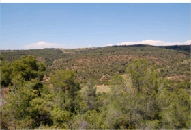 La Granadella 340&nbsp;m²