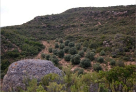 La Granadella 340&nbsp;m²