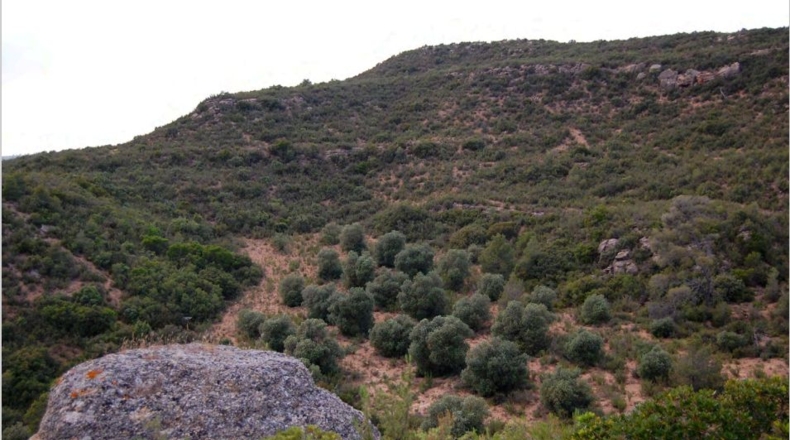 Lérida - La Granadella - 3400000m2