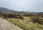 Non-developable land for sale in Montferrer ref: TR233264 photo