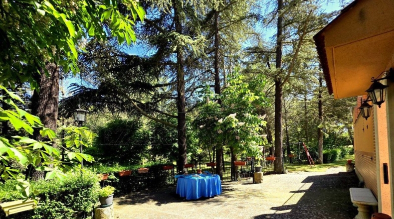 Palencia - Palencia - 14000m2