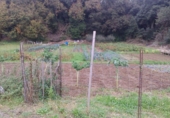 Sòl urbà en venda a la España, Isla, ref.: TR54580 foto