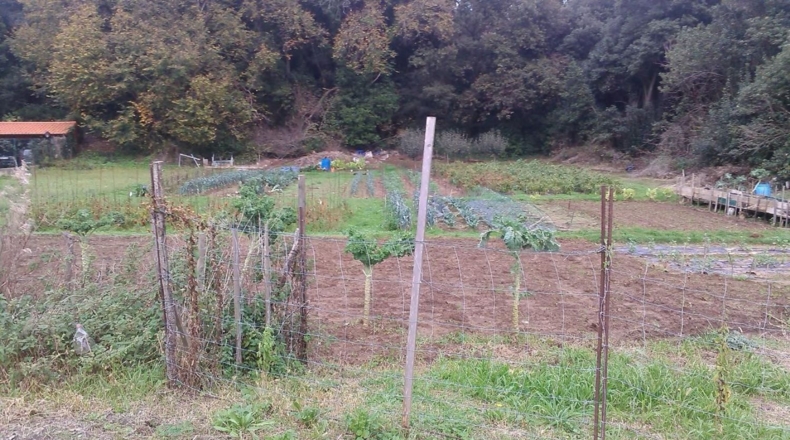 Cantabria - Quintana - 900m2