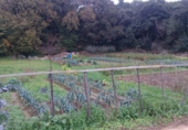 Sòl urbà en venda a la España, Isla, ref.: TR54580 foto