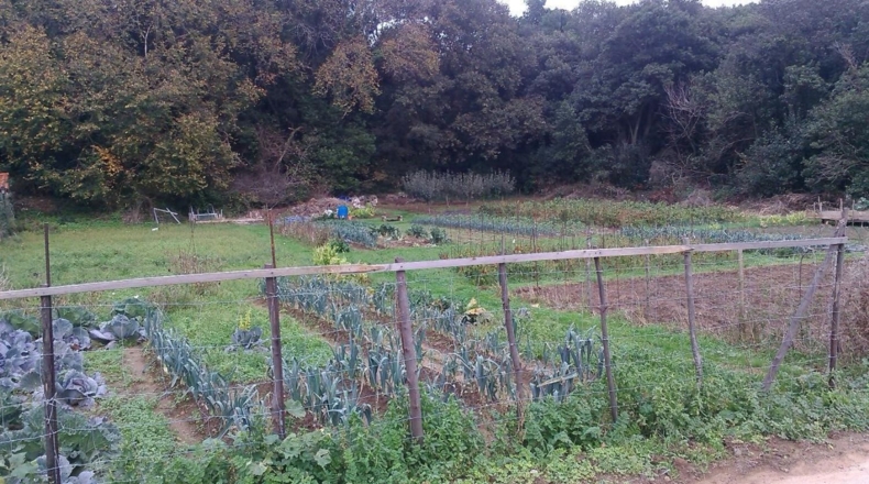 Cantabria - Quintana - 900m2