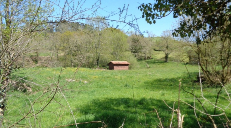 Cantabria - Solórzano - 7500m2